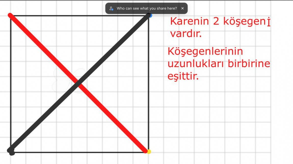 Geometrik Sekilleri Ogreniyoruz